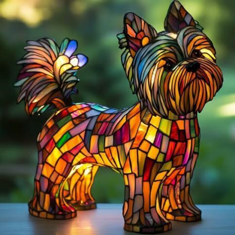 Terrier Yorkshire Radieux